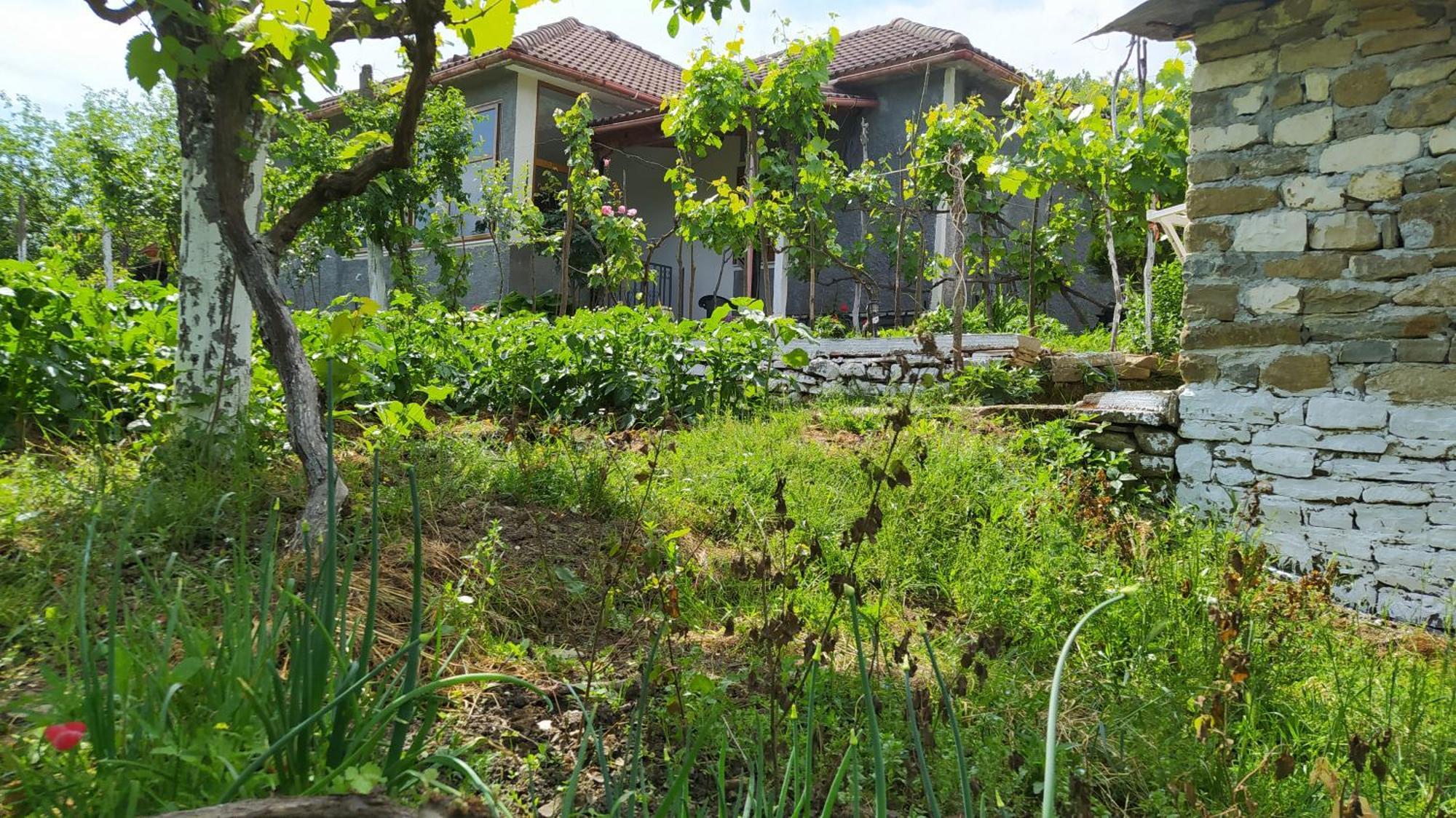 Spring Village Home Përmet Екстериор снимка