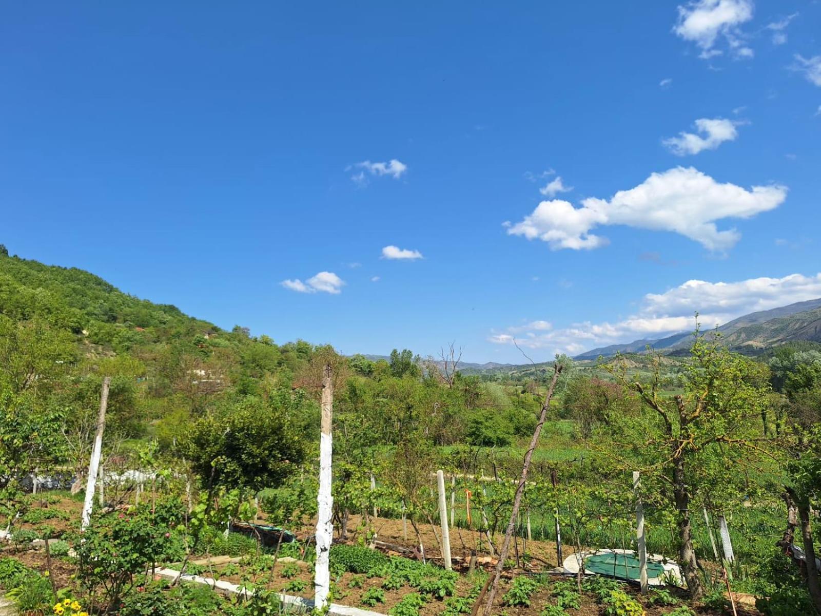 Spring Village Home Përmet Екстериор снимка